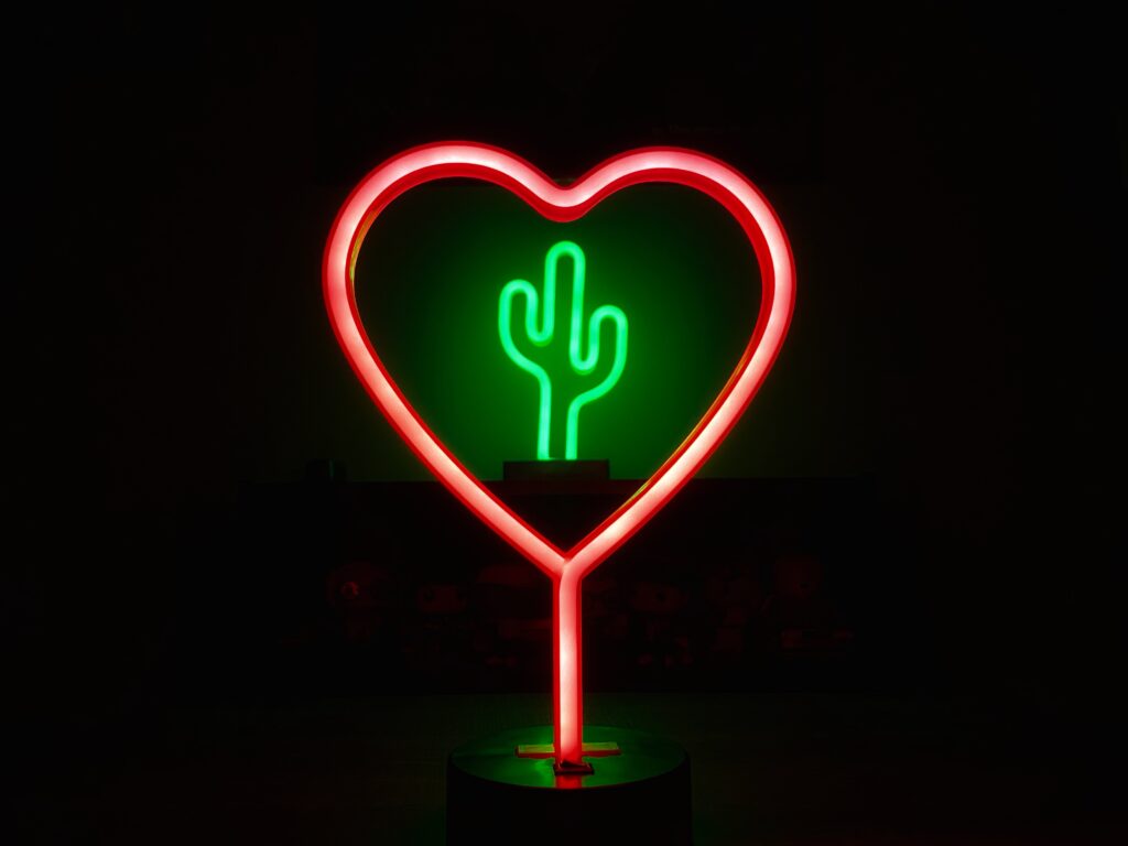 around a neon cactus